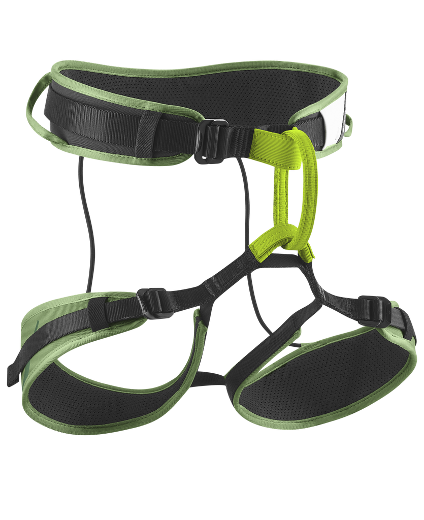 EDELRID Zack Gym Harness available at altisafe.com