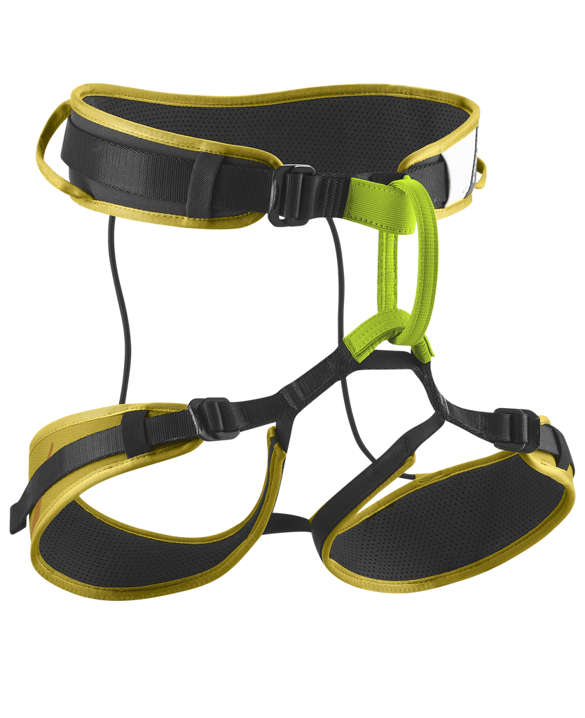 EDELRID Zack Gym Harness available at altisafe.com