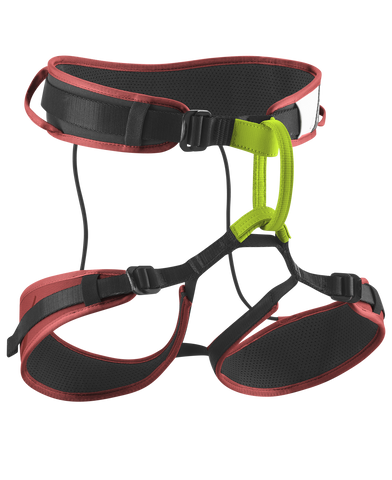 EDELRID Zack Gym Harness available at altisafe.com