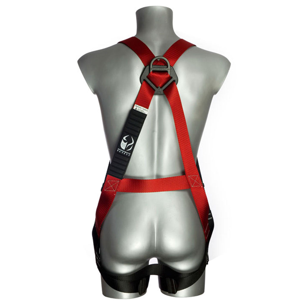 CHECKMATE PBH02 Two Point Harness available at altisafe.com