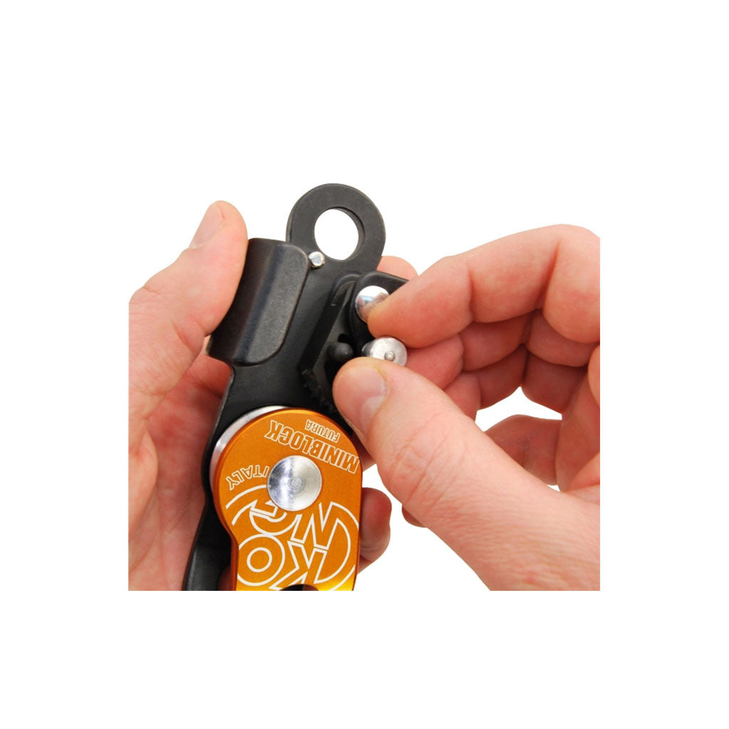 KONG Futura Mini Block Pulley available at altisafe.com