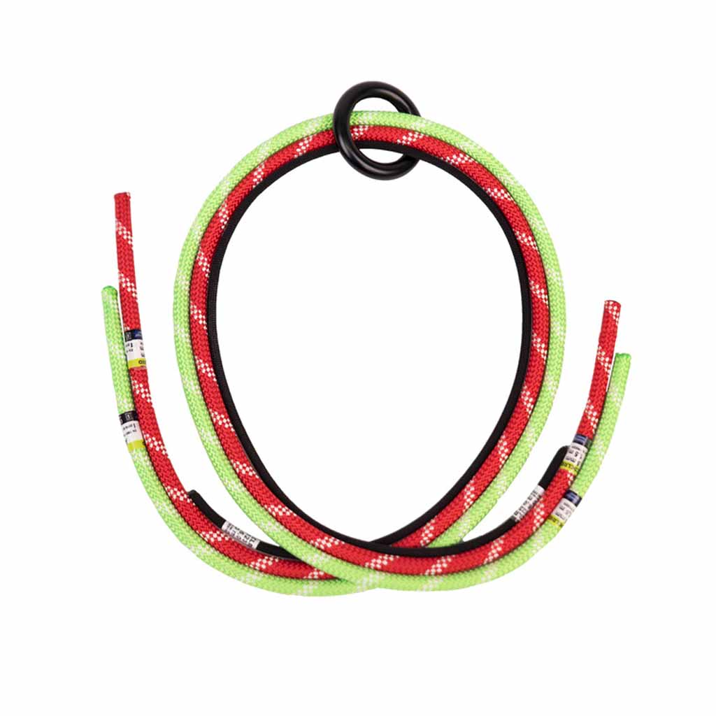  EDELRID TreeRex Rope Bridge Set available at altisafe.com