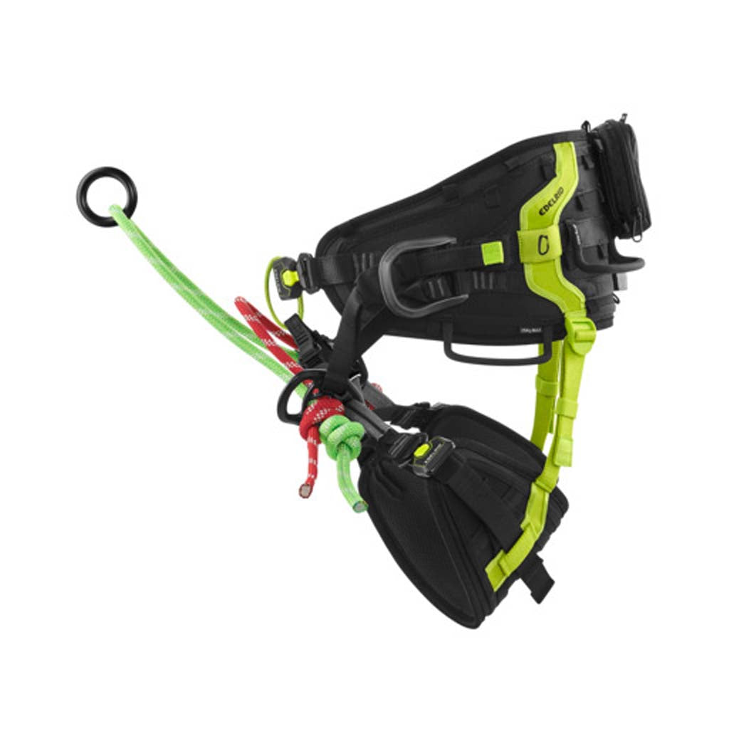 EDELRID Treerex Triple Lock Harness available at altisafe.com